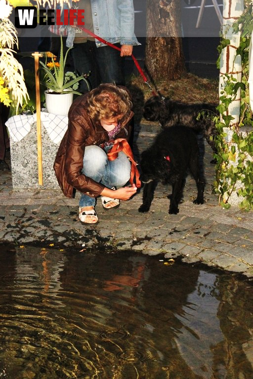 Brunnenfest Wunsiedel