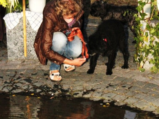Foto 20116 im Album