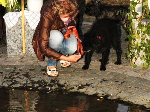 Brunnenfest Wunsiedel – Foto 114