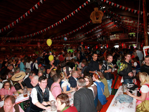 Auftakt mit der Original Töpener Blasmusik Hofer Volksfest 2017 – Foto 3