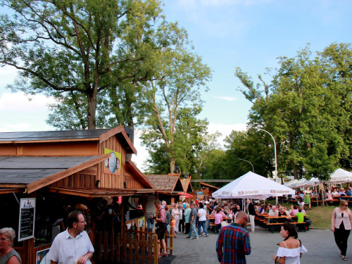 Nachmittag Hofer Volksfest 2017 29.7.17 – Foto 22