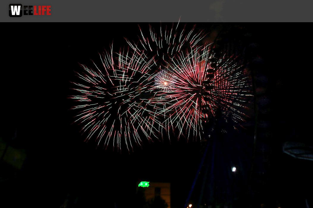 Eröffnungs Feuerwerk Hofer Volksfest 2017