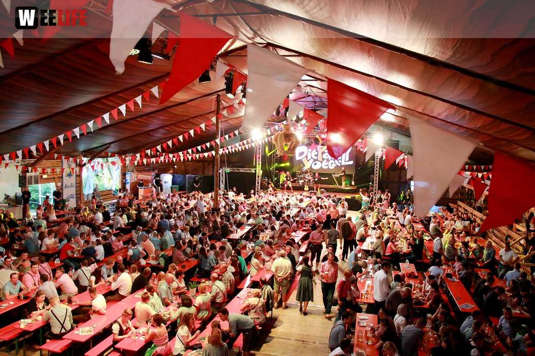Die Partyvögel Tag der Landjugend Hofer Volksfest 2017