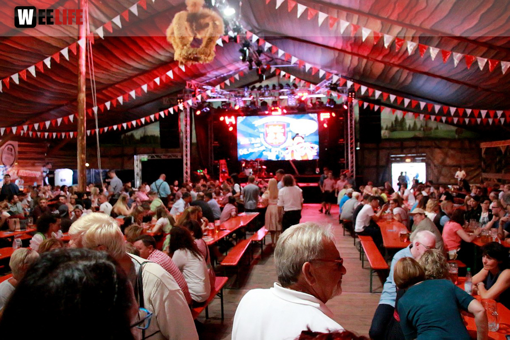 Die Partyvögel Tag der Landjugend Hofer Volksfest 2017