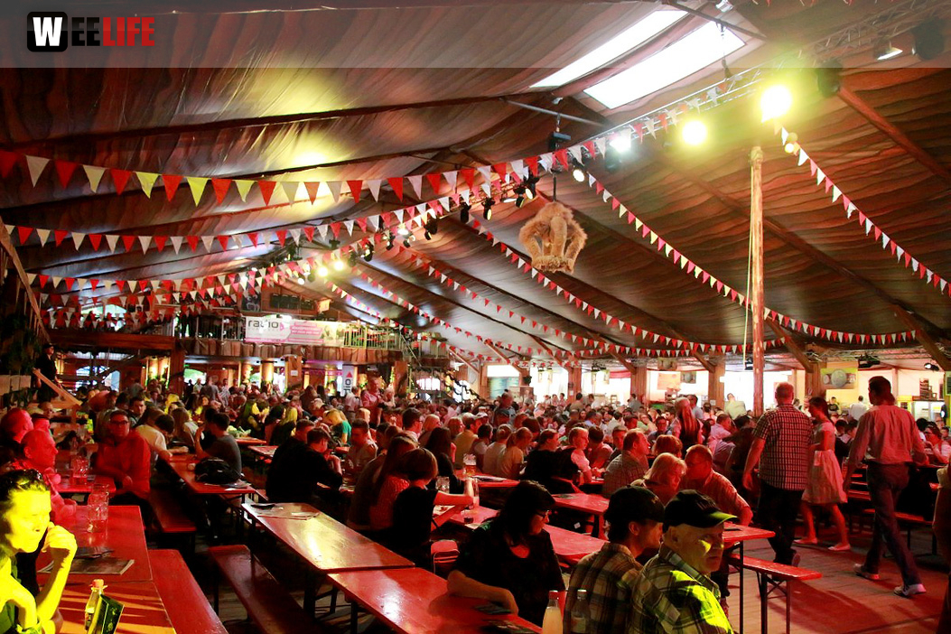 Die Partyvögel Tag der Landjugend Hofer Volksfest 2017