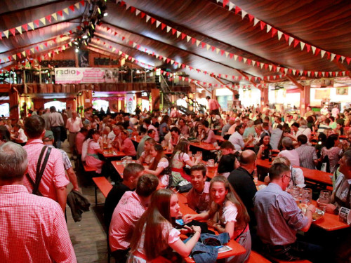 Die Partyvögel Tag der Landjugend Hofer Volksfest 2017 – Foto 7