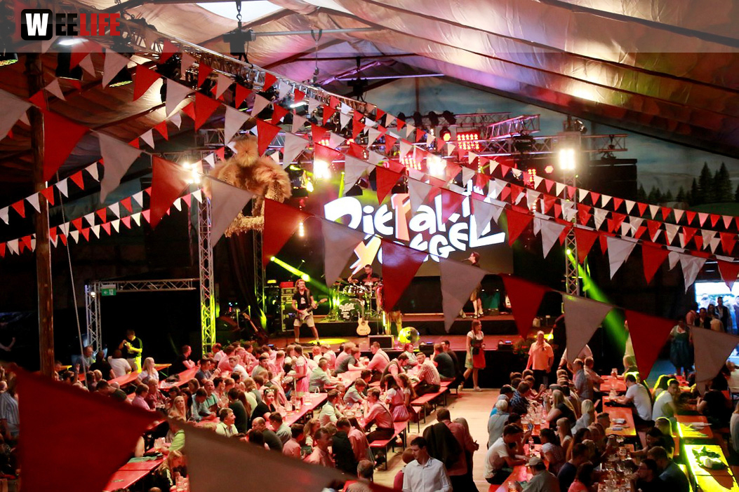 Die Partyvögel Tag der Landjugend Hofer Volksfest 2017