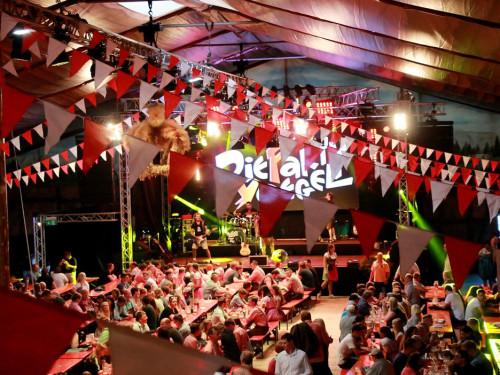 Die Partyvögel Tag der Landjugend Hofer Volksfest 2017 – Foto 9