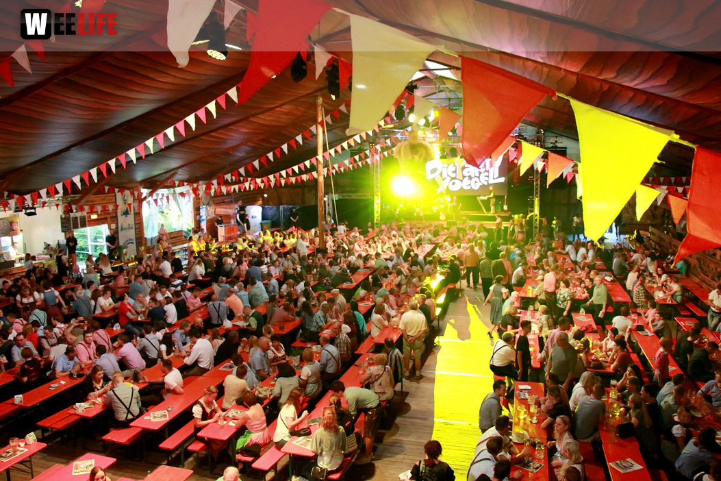Die Partyvögel Tag der Landjugend Hofer Volksfest 2017