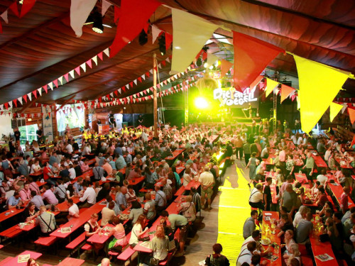 Die Partyvögel Tag der Landjugend Hofer Volksfest 2017 – Foto 10