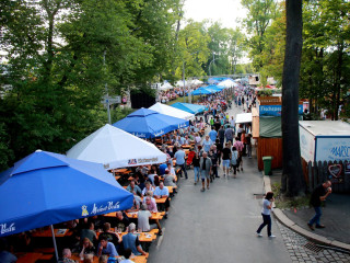 Foto 201591 im Album