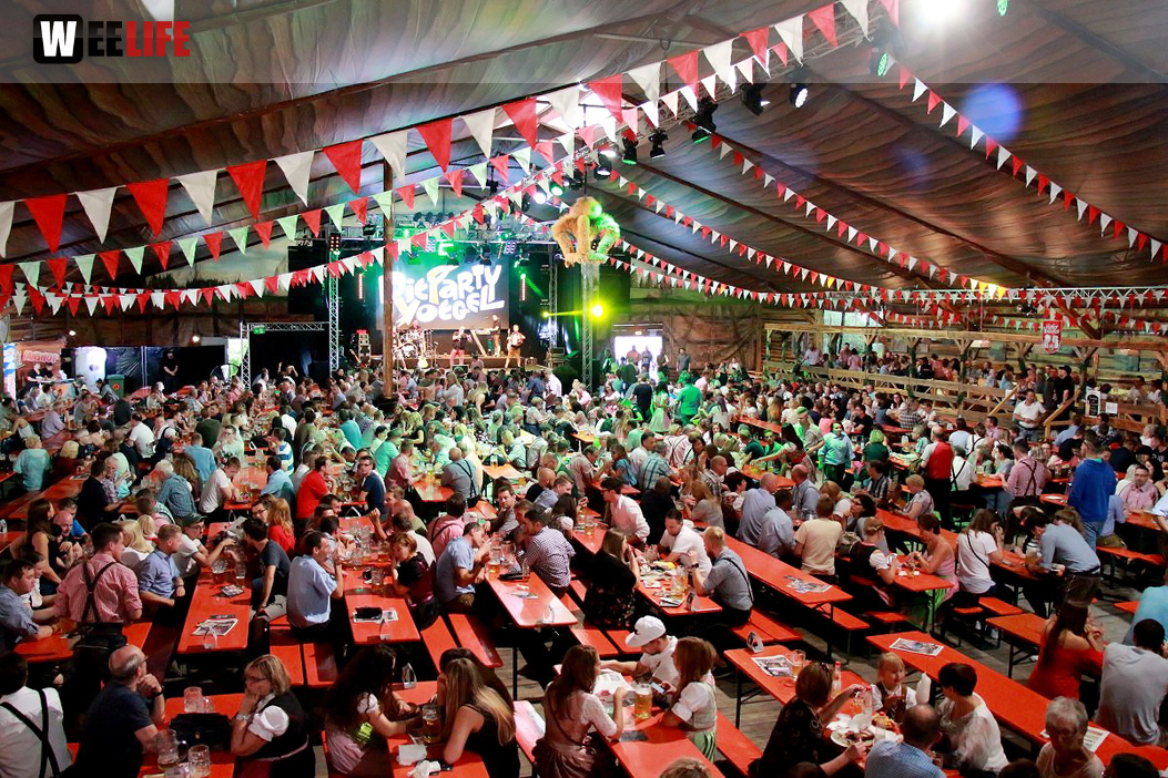 Die Partyvögel Tag der Landjugend Hofer Volksfest 2017