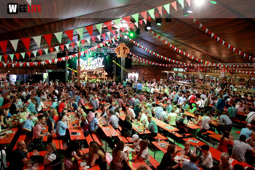 Die Partyvögel Tag der Landjugend Hofer Volksfest 2017