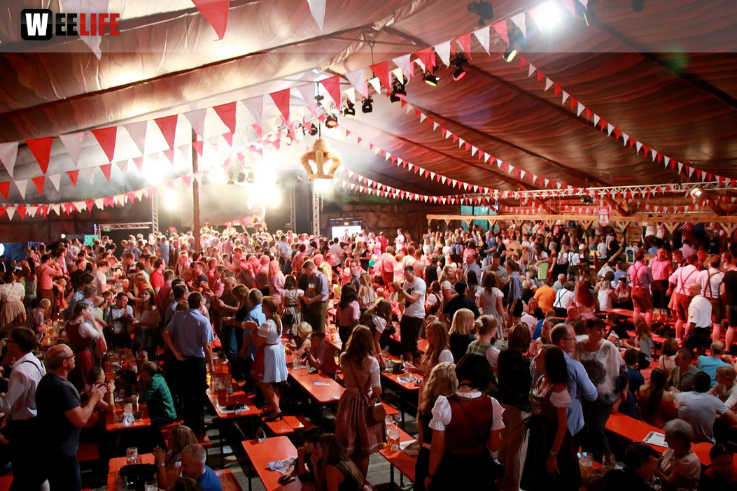 Die Partyvögel Tag der Landjugend Hofer Volksfest 2017