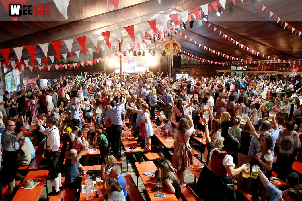 Die Partyvögel Tag der Landjugend Hofer Volksfest 2017