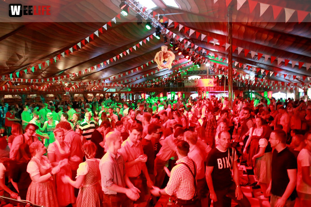 Die Partyvögel Tag der Landjugend Hofer Volksfest 2017