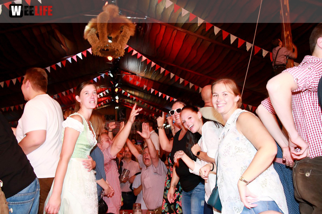 Die Partyvögel Tag der Landjugend Hofer Volksfest 2017