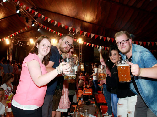 Die Partyvögel Tag der Landjugend Hofer Volksfest 2017 – Foto 45