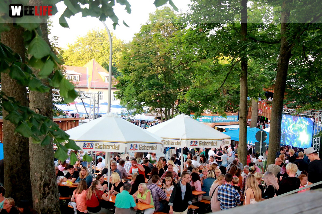 Die Partyvögel Tag der Landjugend Hofer Volksfest 2017