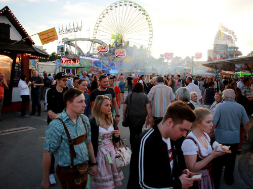 Die Partyvögel Tag der Landjugend Hofer Volksfest 2017 – Foto 63