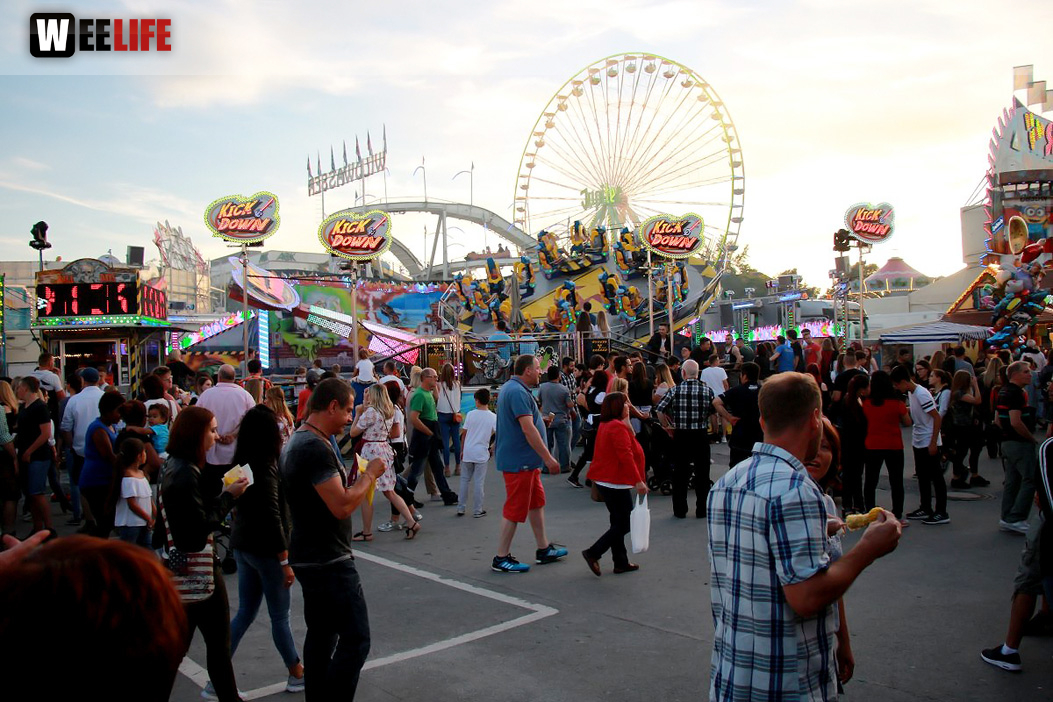 Die Partyvögel Tag der Landjugend Hofer Volksfest 2017