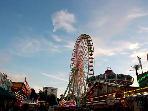 Die Partyvögel Tag der Landjugend Hofer Volksfest 2017 – Foto 73
