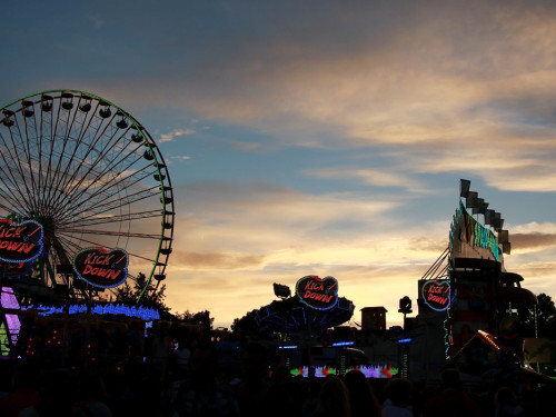 Die Partyvögel Tag der Landjugend Hofer Volksfest 2017 – Foto 83