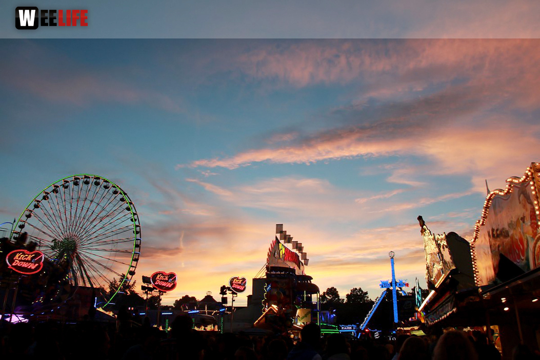 Die Partyvögel Tag der Landjugend Hofer Volksfest 2017