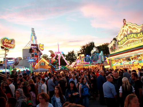 Die Partyvögel Tag der Landjugend Hofer Volksfest 2017 – Foto 98