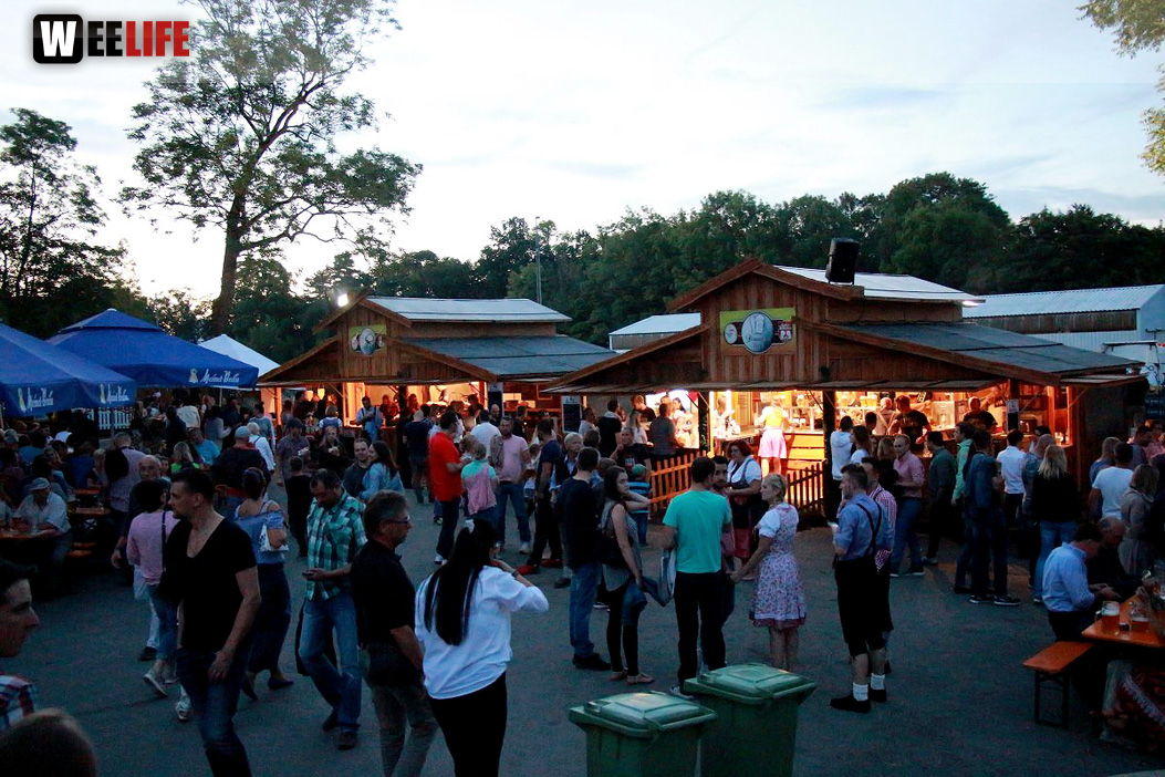Die Partyvögel Tag der Landjugend Hofer Volksfest 2017