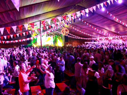Die Partyvögel Tag der Landjugend Hofer Volksfest 2017 – Foto 120