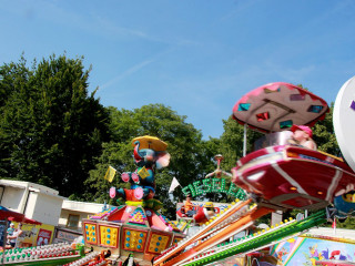 Foto 202325 im Album