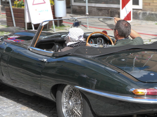 Sechsämterland CLASSIC – Foto 120