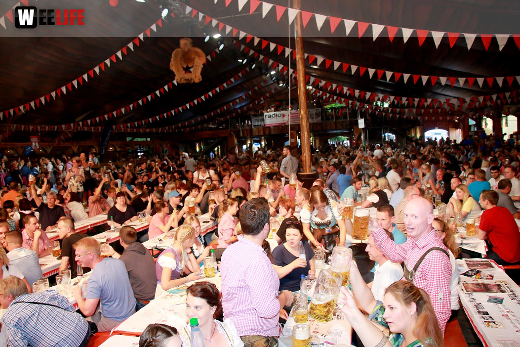 Members Tag der Betriebe Hofer Volksfest 2017