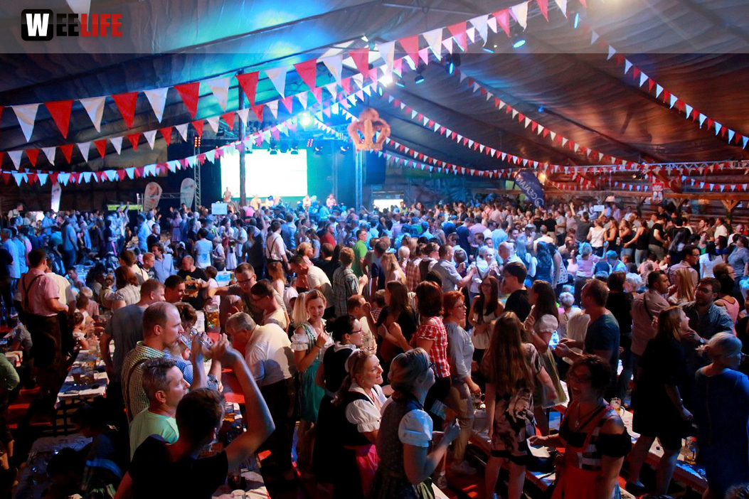 Members Tag der Betriebe Hofer Volksfest 2017