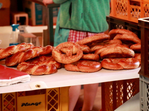 Frühshoppen Tag 10 Hofer Volksfest 2017 – Foto 16