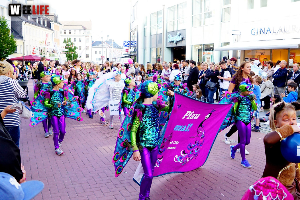 Volksfestumzug  Hofer Volksfest 2017 28.7.17