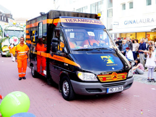 Foto 204685 im Album