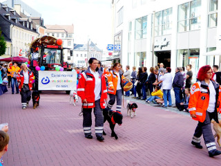 Foto 204698 im Album