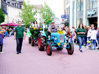 Foto 204719 im Album