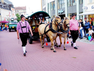 Foto 204720 im Album
