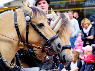 Foto 204721 im Album