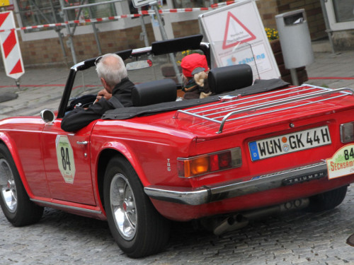 Sechsämterland CLASSIC – Foto 380