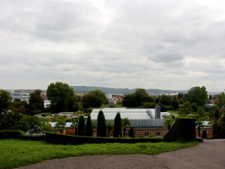 Foto 205315 im Album