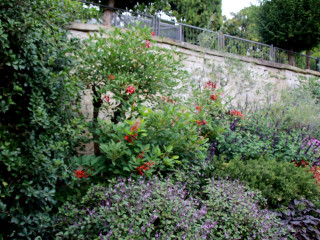 Foto 205322 im Album