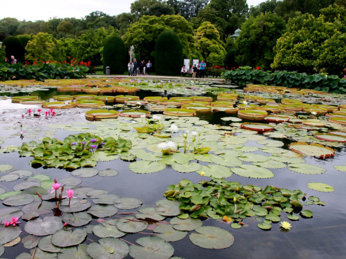 Wilhelma Stuttgart Pflanzenwelt – Foto 20