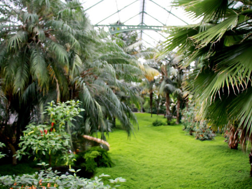 Wilhelma Stuttgart Pflanzenwelt – Foto 45
