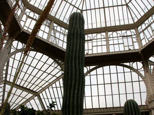 Wilhelma Stuttgart Pflanzenwelt – Foto 50