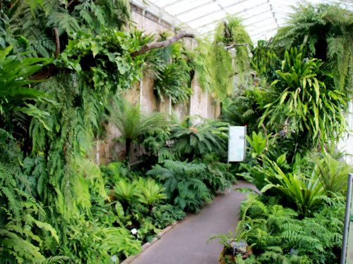Wilhelma Stuttgart Pflanzenwelt – Foto 57