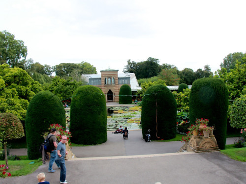Wilhelma Stuttgart Pflanzenwelt – Foto 60